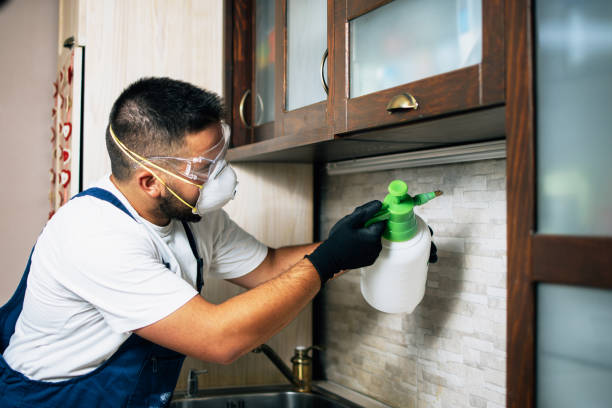 Best Local Pest Control Services  in Pontoon Beach, IL