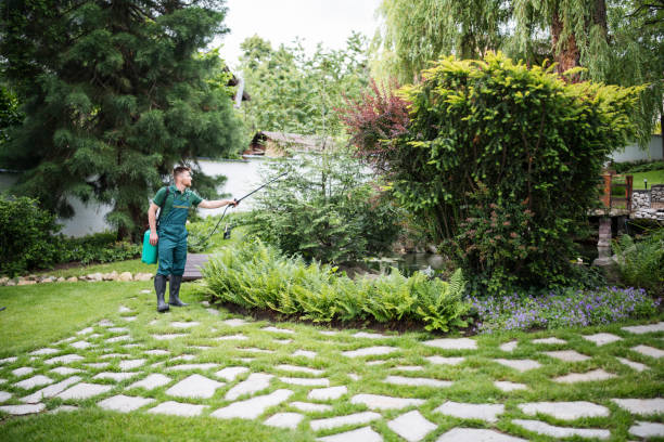Best Pest Control Treatment  in Pontoon Beach, IL